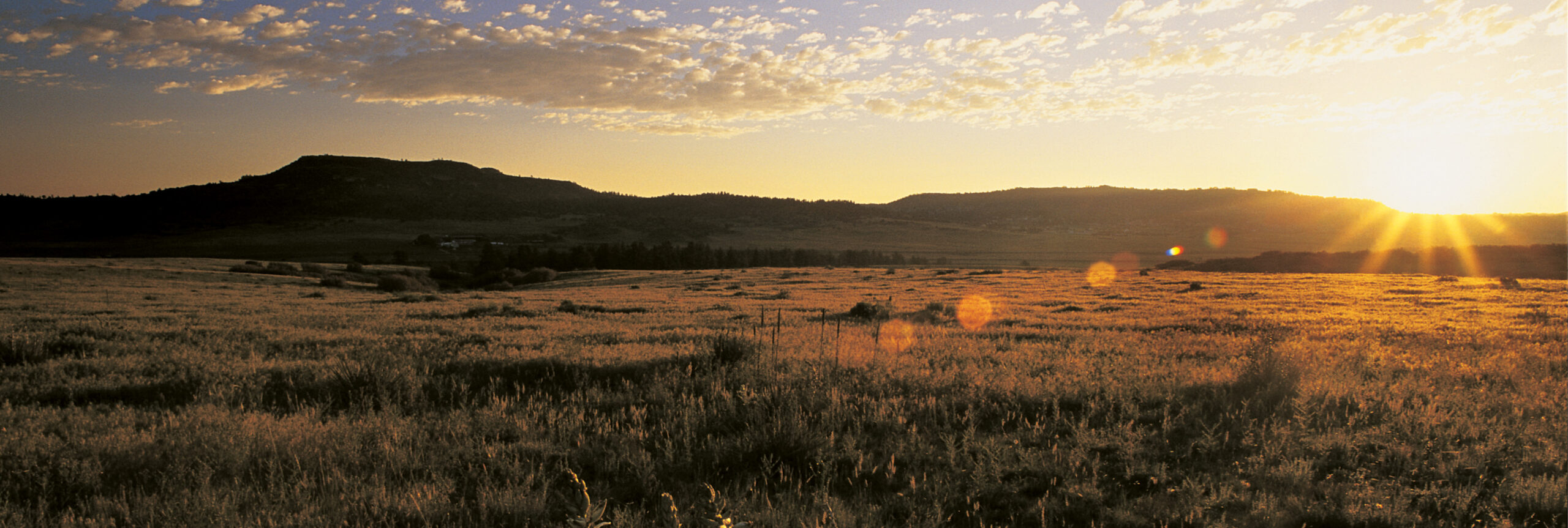 Life Here - The Keep