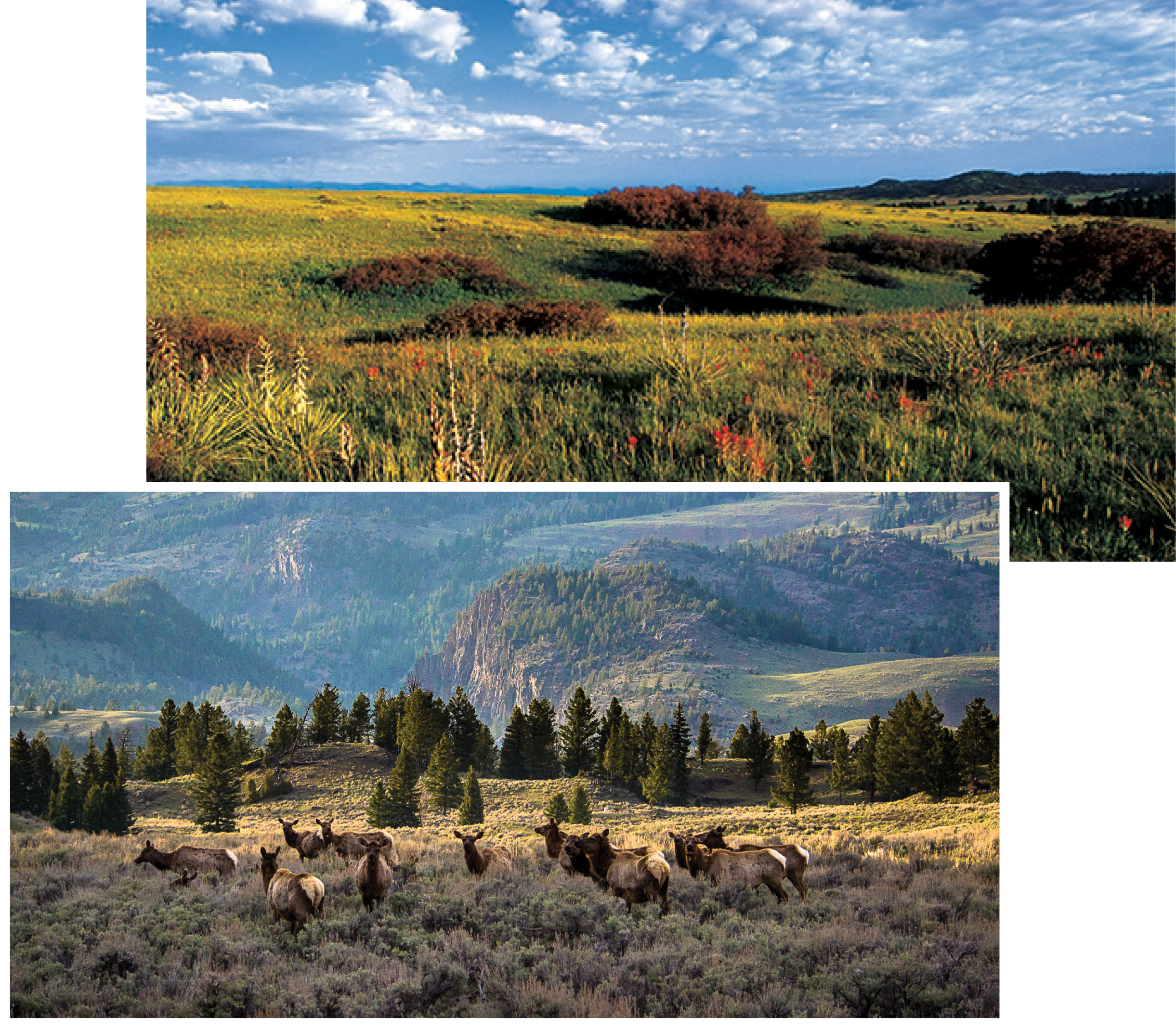 Life Here at the Keep